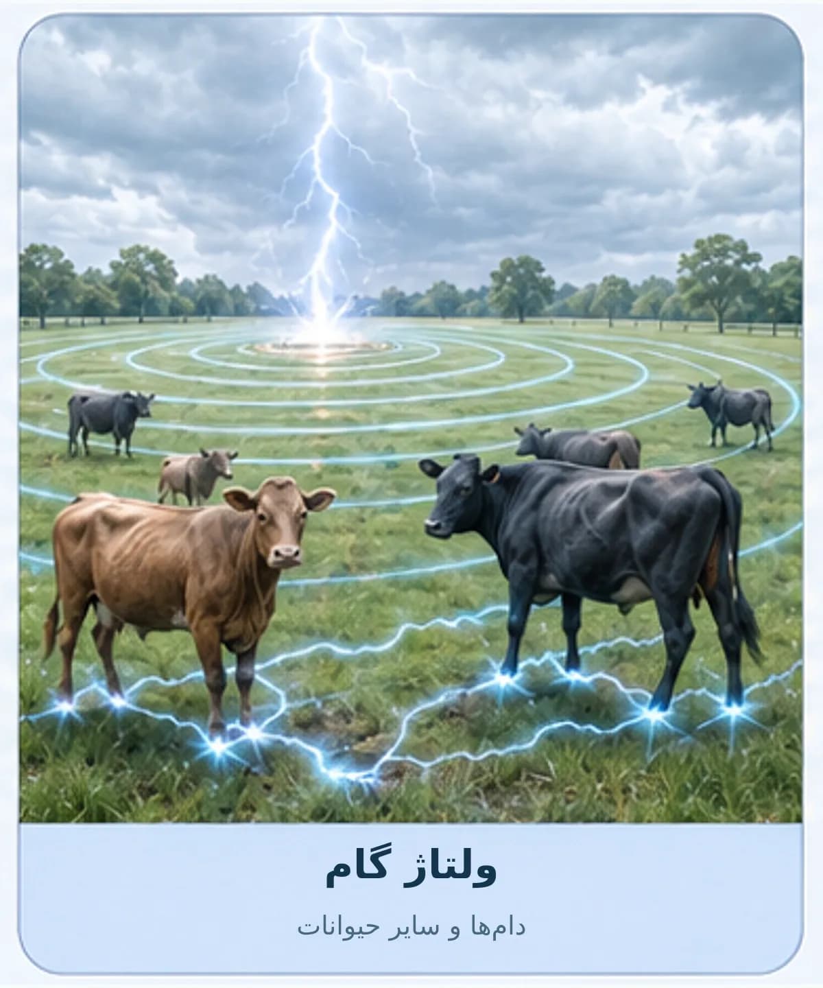 نمایش ایجاد اختلاف پتانسیل میان پاهای دام بر اثر انتشار جریان صاعقه در زمین